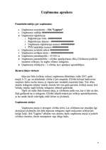 Konspekts 'Biznesa plāns salonam "Lagūna"', 3.