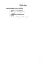 Konspekts 'Biznesa plāns salonam "Lagūna"', 6.