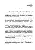 Eseja 'Brāļa mīlestība', 1.