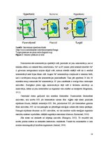 Diplomdarbs 'Abiotisko vides faktoru ietekme uz cianobaktēriju attīstību', 14.
