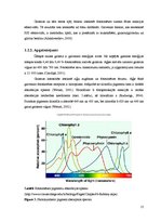 Diplomdarbs 'Abiotisko vides faktoru ietekme uz cianobaktēriju attīstību', 15.