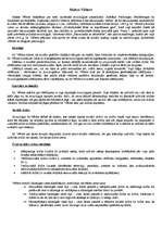 Konspekts 'Makss Vēbers', 1.