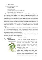Referāts 'Ganības. Kvalitātes rādītāji. Agrotehnika', 7.