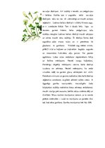 Referāts 'Ganības. Kvalitātes rādītāji. Agrotehnika', 9.