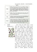 Referāts 'Ganības. Kvalitātes rādītāji. Agrotehnika', 11.