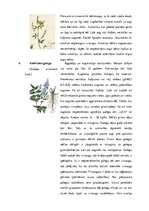 Referāts 'Ganības. Kvalitātes rādītāji. Agrotehnika', 13.