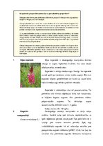 Referāts 'Ganības. Kvalitātes rādītāji. Agrotehnika', 15.