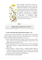 Referāts 'Ganības. Kvalitātes rādītāji. Agrotehnika', 16.