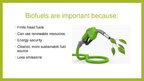 Prezentācija 'Biofuels', 13.