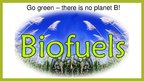 Prezentācija 'Biofuels', 14.