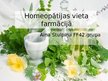 Prezentācija 'Homeopātijas vieta farmācijā', 1.