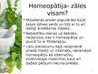Prezentācija 'Homeopātijas vieta farmācijā', 2.