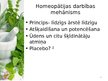 Prezentācija 'Homeopātijas vieta farmācijā', 6.