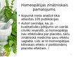 Prezentācija 'Homeopātijas vieta farmācijā', 8.