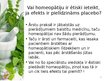 Prezentācija 'Homeopātijas vieta farmācijā', 9.