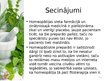 Prezentācija 'Homeopātijas vieta farmācijā', 13.