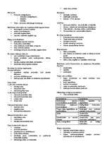 Konspekts 'Mārketings', 7.