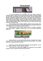 Referāts 'Datoru vēsture', 2.