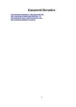 Referāts 'Datoru vēsture', 15.