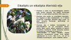 Prezentācija 'Eikaliptu ēteriska eļla', 2.