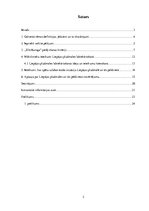 Referāts 'Liepājas pludmales un tās peldvietas novērtējums', 2.