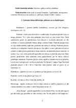 Referāts 'Liepājas pludmales un tās peldvietas novērtējums', 4.