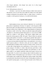 Referāts 'Liepājas pludmales un tās peldvietas novērtējums', 5.