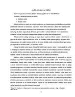 Referāts 'Audits', 3.