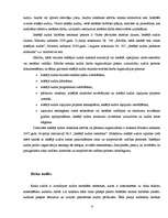 Referāts 'Audits', 6.