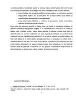 Referāts 'Audits', 7.