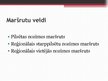 Referāts 'Sabiedriskā transporta izmantošanas politika Latvijā', 29.