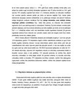 Diplomdarbs 'Iedzīvotāju ekonomiskā migrācija Latvijā un ES valstīs', 25.