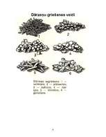 Referāts 'Dārzeņu ēdieni', 9.