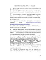 Referāts 'Transporta nozares raksturojums Latvijā', 34.