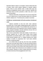 Prakses atskaite 'Prakses pārskats par darbu Nordea bankā', 33.