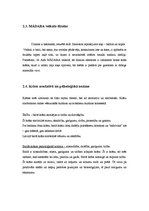 Referāts 'Eko kosmētika "Madara"', 6.