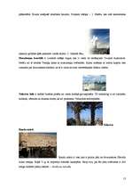 Konspekts 'Izraēla', 13.