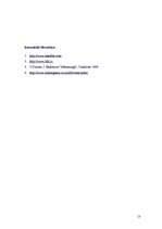 Referāts 'Mediju kā reklāmas nesējlīdzekļu raksturojums', 13.