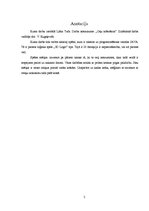 Referāts 'Ceļu krāsošana', 2.