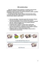 Konspekts 'Elektroniskā datu apmaiņas sistēma', 17.