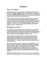 Referāts 'Babilona', 1.