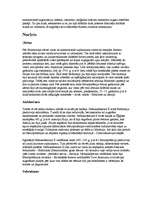 Referāts 'Babilona', 2.