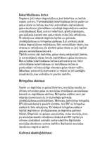 Prakses atskaite 'Karburators', 6.