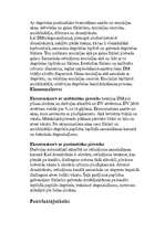 Prakses atskaite 'Karburators', 7.