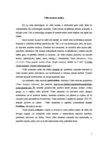 Eseja 'Video ierakstu analīze', 1.