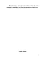 Eseja 'Video ierakstu analīze', 2.