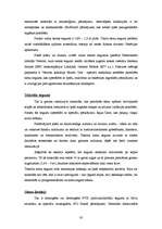 Referāts 'Sienas', 30.