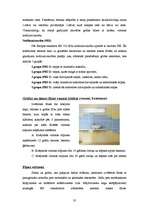 Referāts 'Sienas', 35.