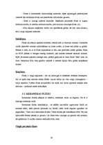 Referāts 'Sienas', 39.