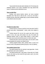 Referāts 'Sienas', 40.